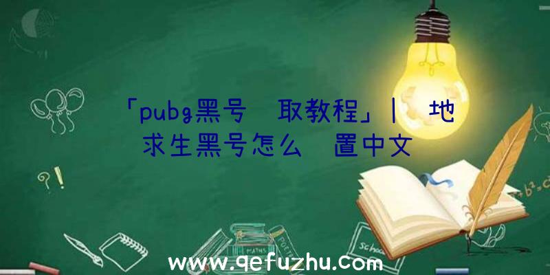 「pubg黑号获取教程」|绝地求生黑号怎么设置中文